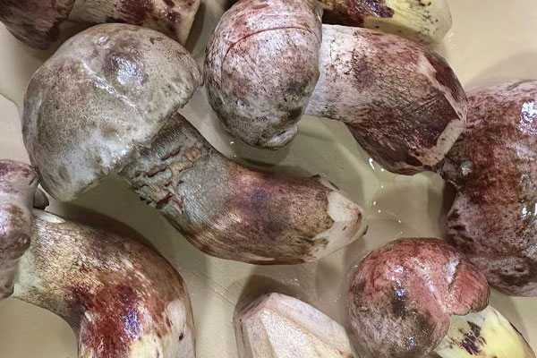 食欲不振可以吃牛肝菌嗎，牛肝菌可以促進(jìn)消化嗎