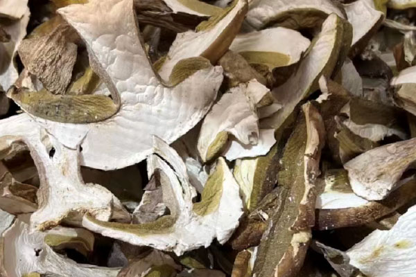 干牛肝菌和新鮮牛肝菌有區(qū)別嗎 干牛肝菌和新鮮牛肝菌有區(qū)別嗎