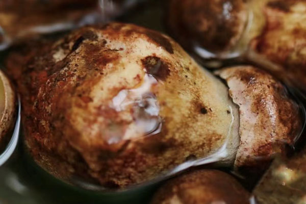 牛肝菌是香菇嗎，牛肝菌是活血的嗎