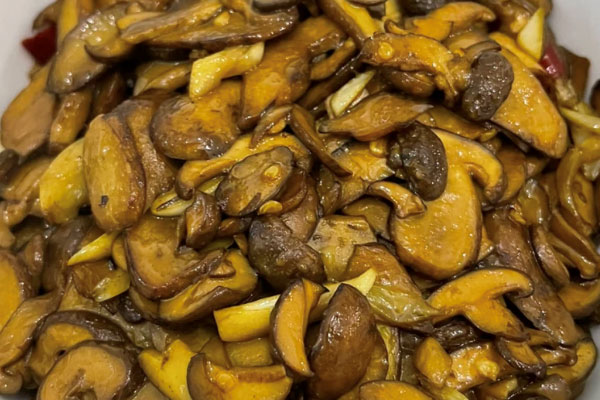 牛肝菌活血嗎，牛肝菌補氣嗎