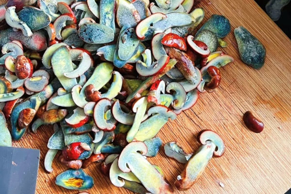 牛肝菌骨頭湯可以隔夜喝嗎 牛肝菌骨頭湯可以隔夜喝嗎