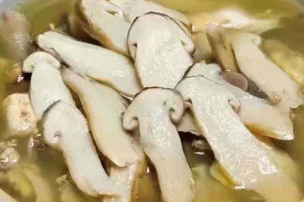 甲減可以吃松茸嗎 甲減可以吃松茸嗎