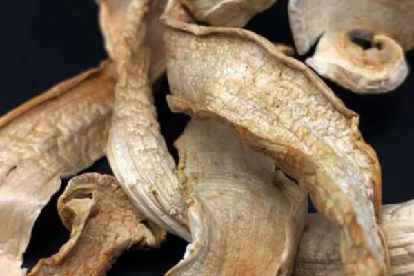 松茸曬干后為什么會發(fā)黃 松茸曬干后為什么會發(fā)黃