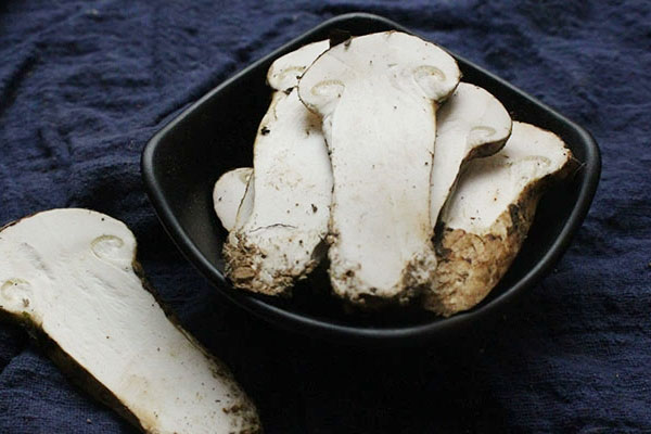 松茸泡了一天一夜還能吃嗎 松茸泡了一天一夜還能吃嗎