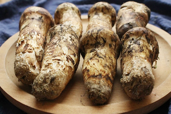 松茸真空速凍能保存多久 松茸真空速凍能保存多久