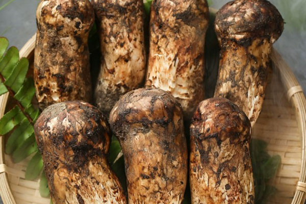 松茸能曬干保存嗎 松茸能曬干保存嗎