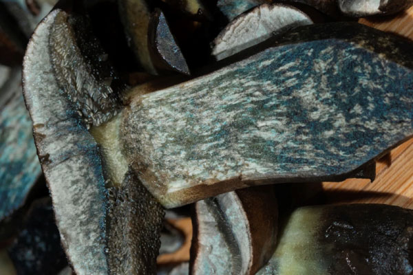 牛肝菌是不是要冷凍保存，牛肝菌保存哪種方法好