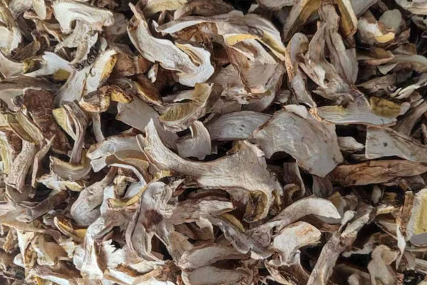 保存牛肝菌哪種方法好 保存牛肝菌哪種方法好