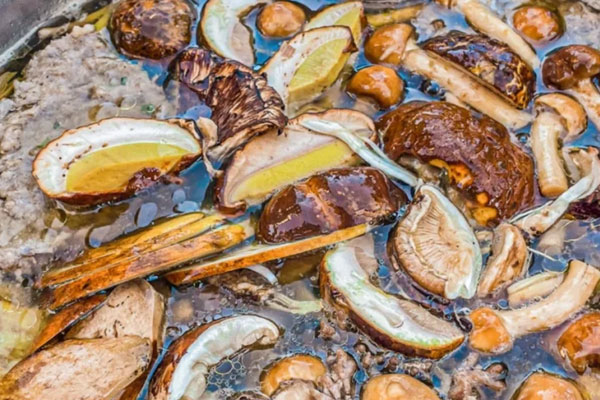 牛肝菌的品種為什么那么多 牛肝菌的品種為什么那么多