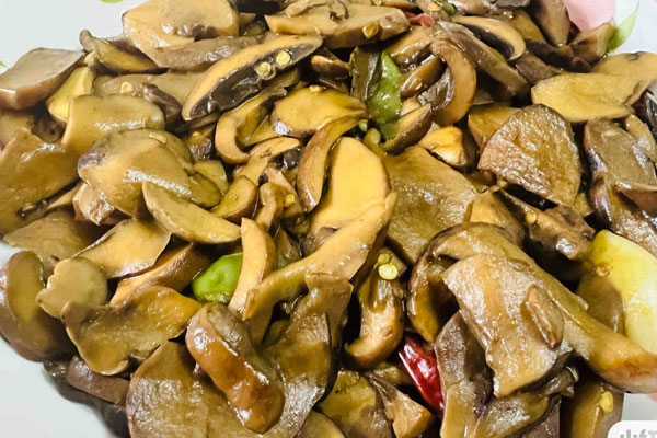 野生牛肝菌的不同觸感 野生牛肝菌的不同觸感