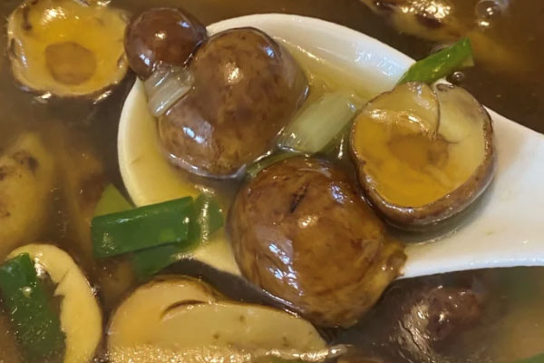 牛肝菌變綠色了能吃嗎 牛肝菌變綠色了能吃嗎