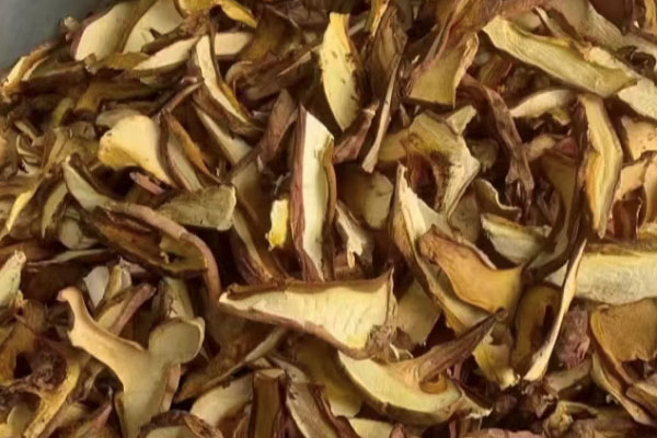 泡牛肝菌的水能吃嗎 泡牛肝菌的水能吃嗎